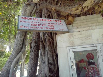 Akshayavat Image